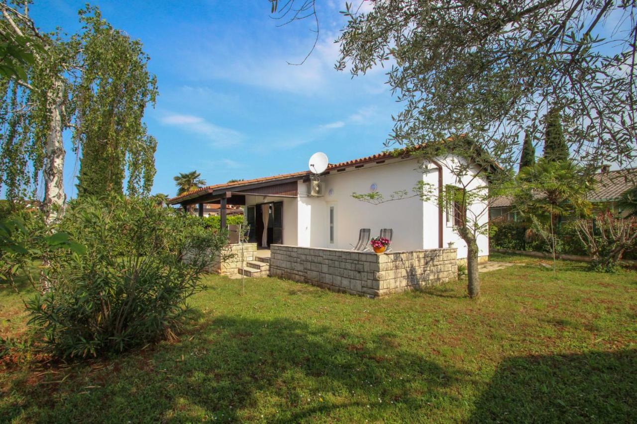 Karpinjan Novigrad (Istria)